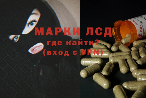 гидра Пересвет