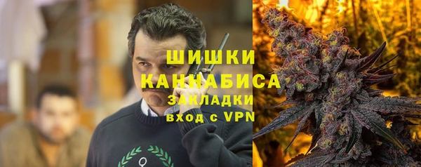 гидра Пересвет