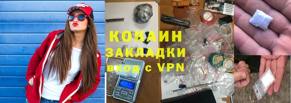 гидра Пересвет