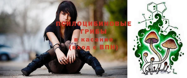 гидра Пересвет
