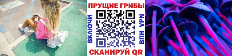 Псилоцибиновые грибы мицелий  гидра ссылки  Тюкалинск 